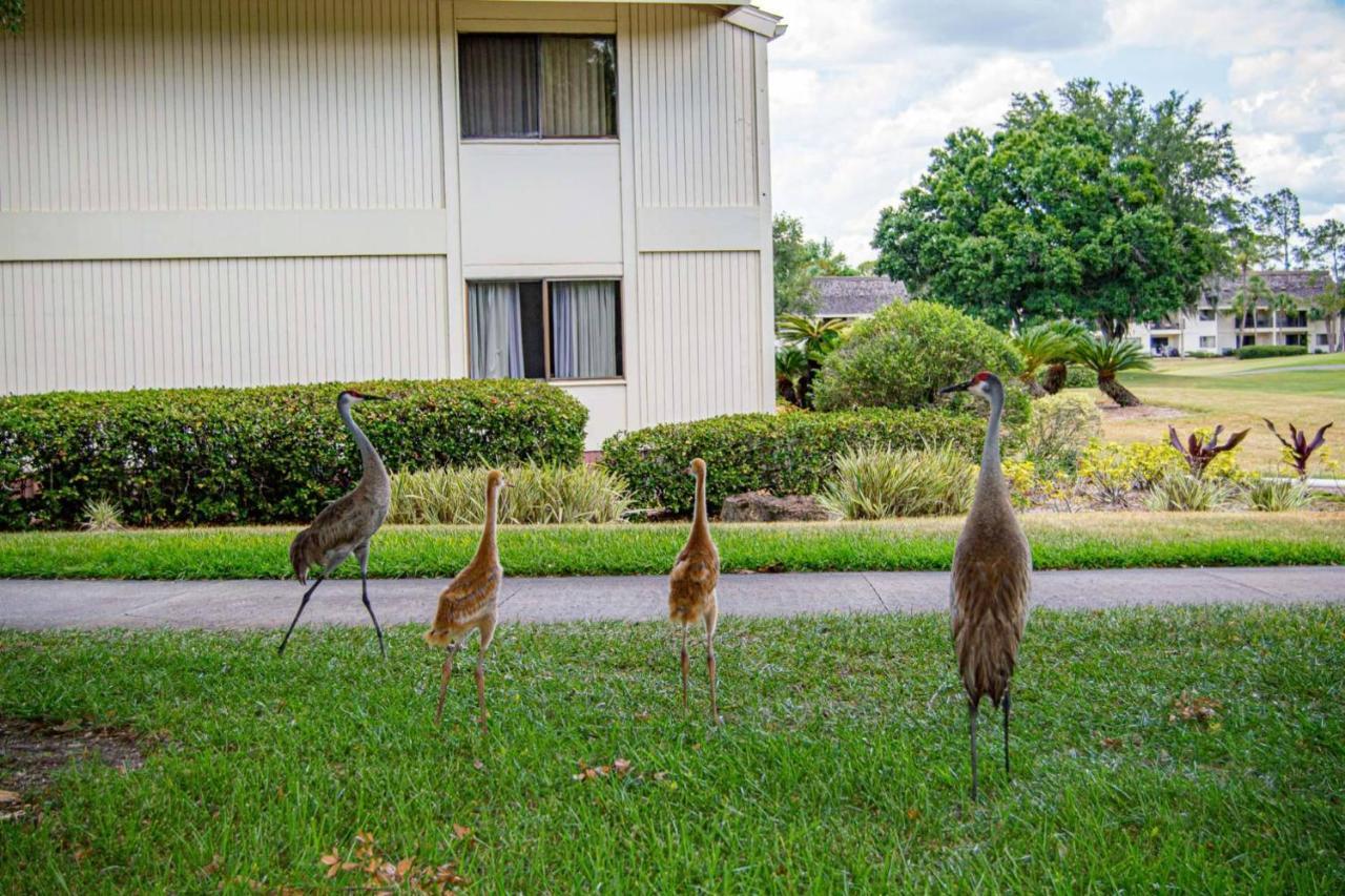 Newly Listed! 20 Percent Off! Golf And Tennis Community Retreat Villa Wesley Chapel Exterior photo