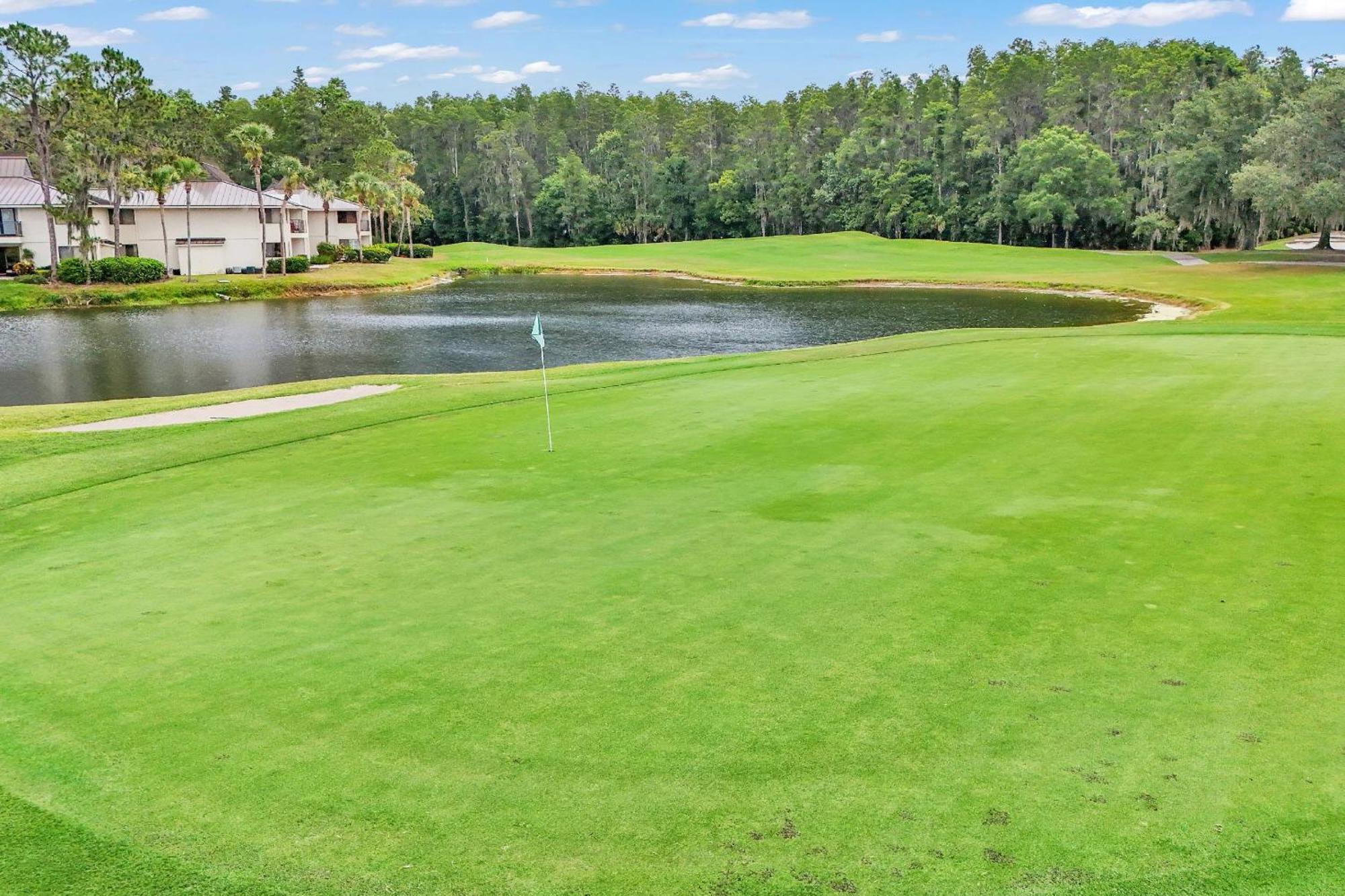 Newly Listed! 20 Percent Off! Golf And Tennis Community Retreat Villa Wesley Chapel Exterior photo